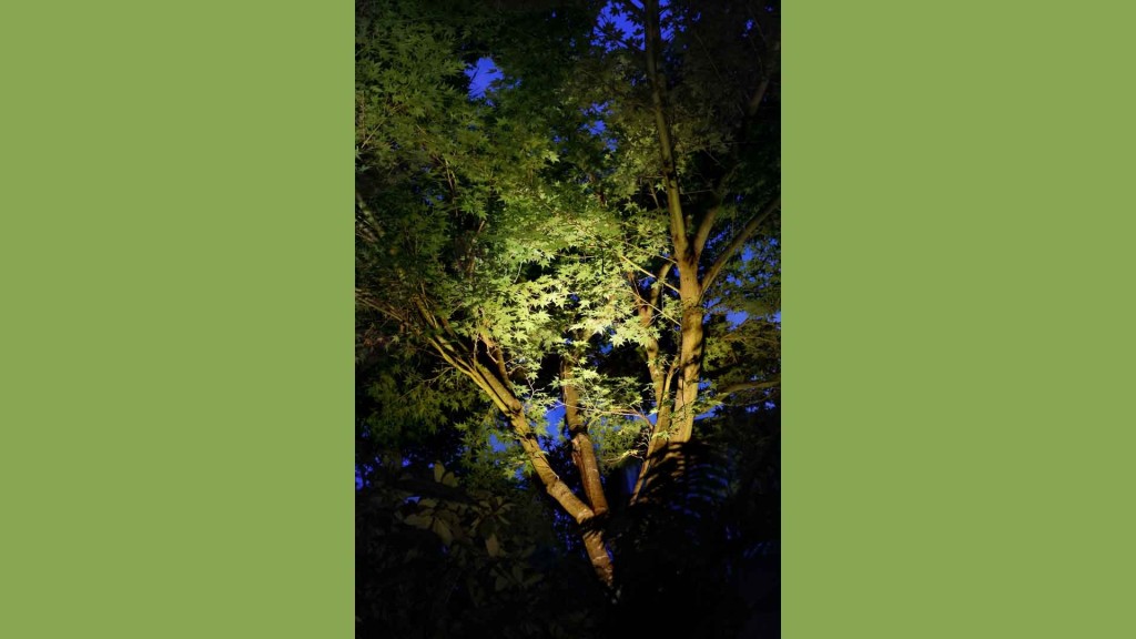 Nightscapes Nightscapes