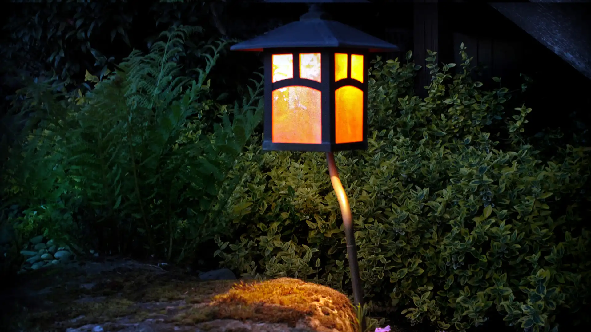 Night Lighting